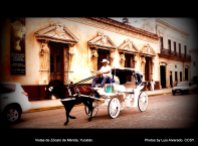 Vistas de Zócalo de Mérida, Yucatán. Photo LAAG (4)